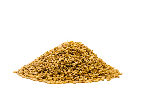 istock Sesame heap isolated on white background 1151408656