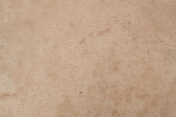 istock Vintage Stained Old Book cover 1151409943