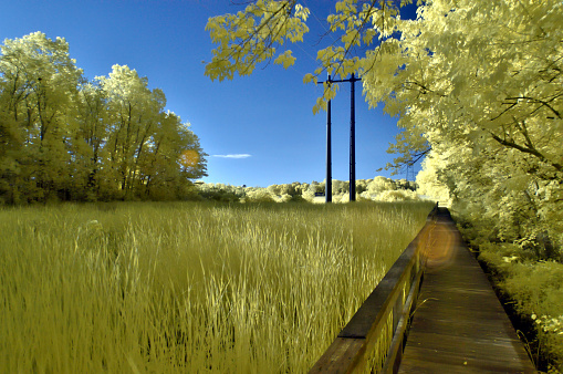 A wooden walkway along the nature trail of a marsh on the power line right-of-way through the pemberton historic park in salisbury,md rendered using IR