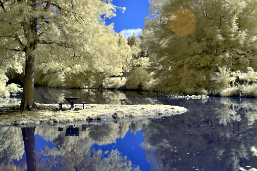 Shot using infrared, a bright colorful scene of a picnic area on a small island in the Pemberton Historic Park pond