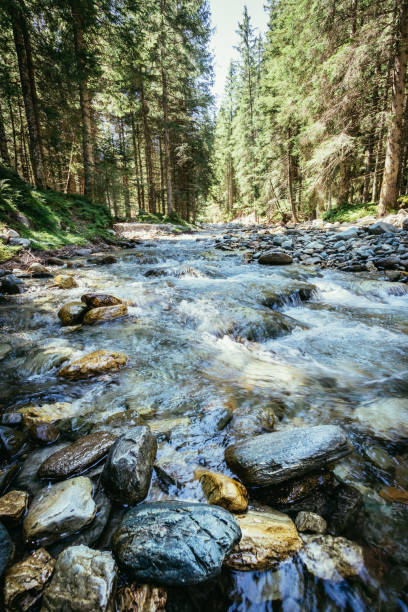 istock Nature landscape in the alps: River and timberland 1151411090