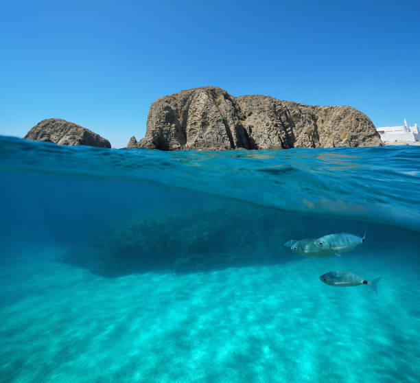 formation de roche avec le poisson et le sable sous-marin espagne - blade photos et images de collection