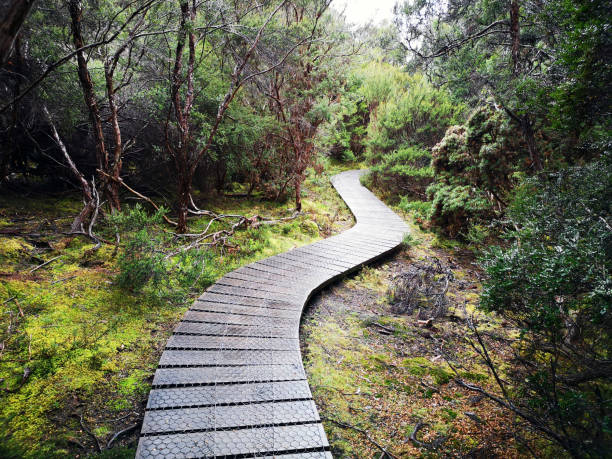 Overland Track in Cradle Mountain - Tasmania