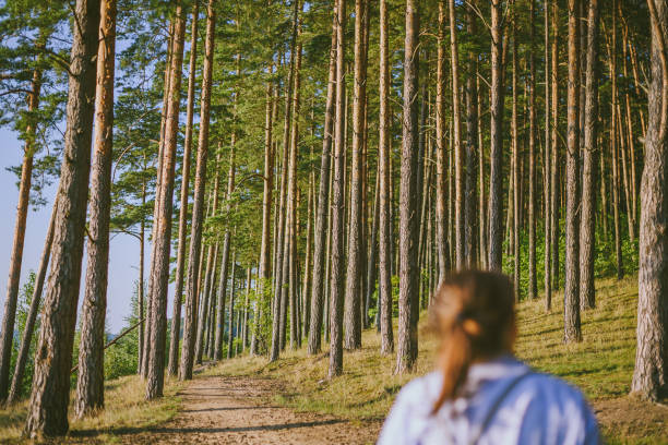 istock Rear View Of Man Walking In Forest 1151419394