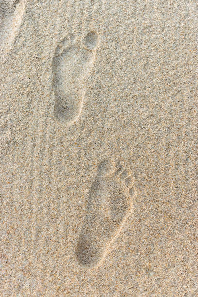 istock Clear human footprint on sand on beach 1151419635