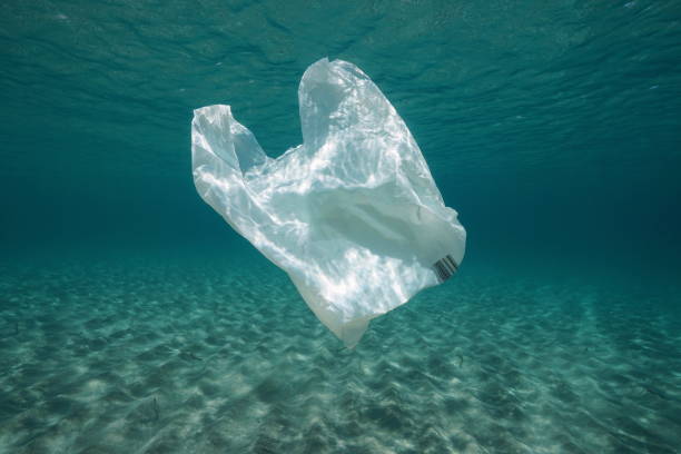 Plastic waste underwater plastic bag Plastic waste underwater, a plastic bag in the Mediterranean sea between water surface and a sandy seabed, Almeria, Andalusia, Spain almeria photos stock pictures, royalty-free photos & images
