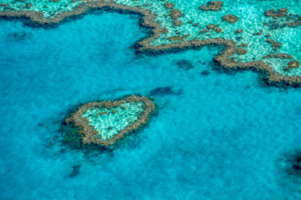 Heart shaped reef stock photo