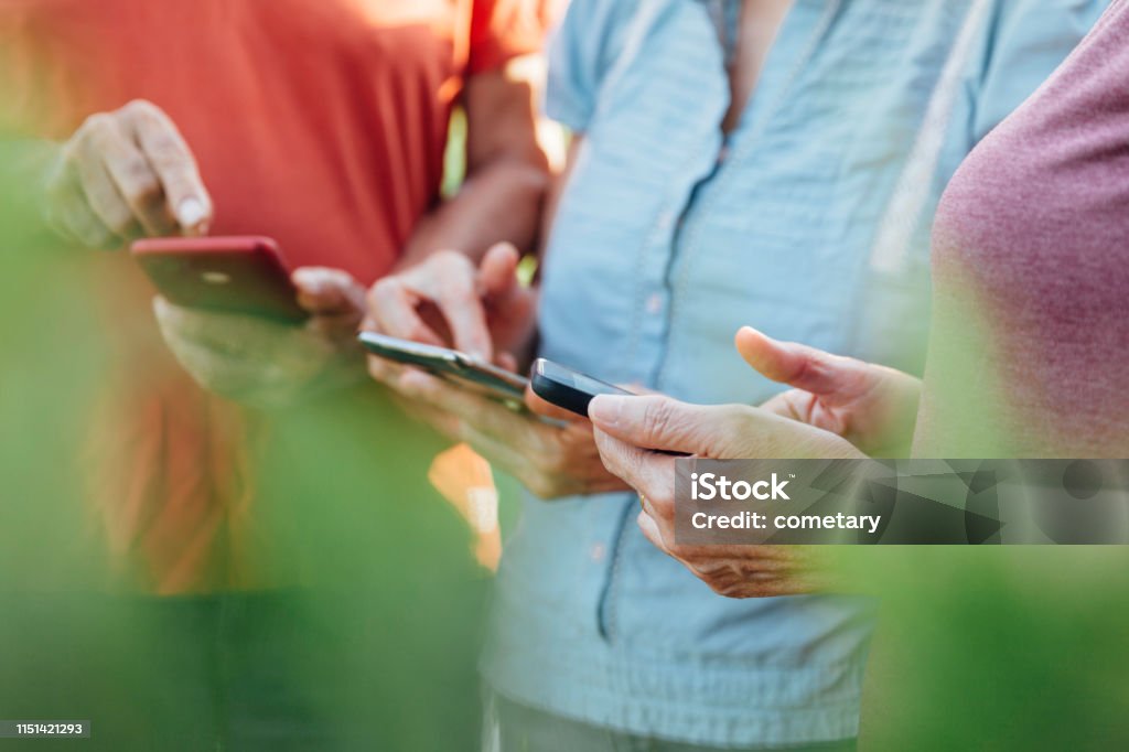 Senior people using smart phone in nature Adult Stock Photo