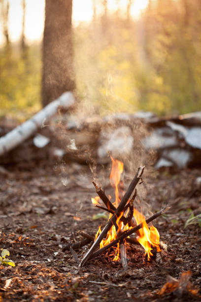 istock Bonfire in the forest at evening 1151421864