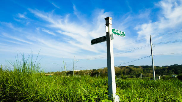 istock In a cross road 1151429605