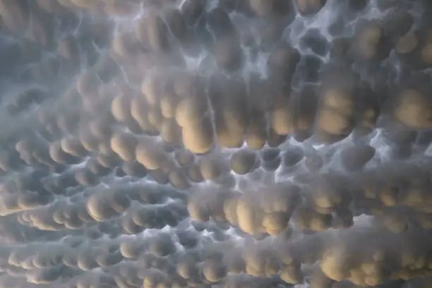 Photo of Mammatus clouds below the anvil of a Great Plains thunderstorm