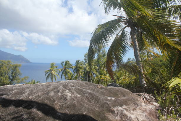 istock private tropical island beach 1151434200
