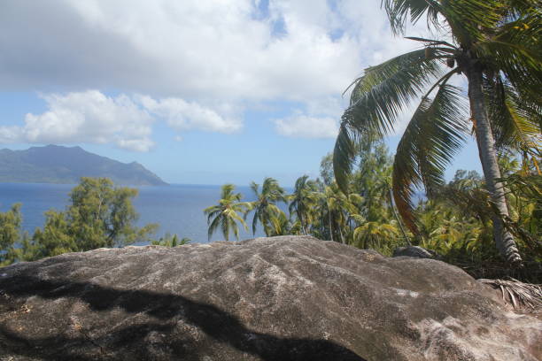 istock private tropical island beach 1151434245