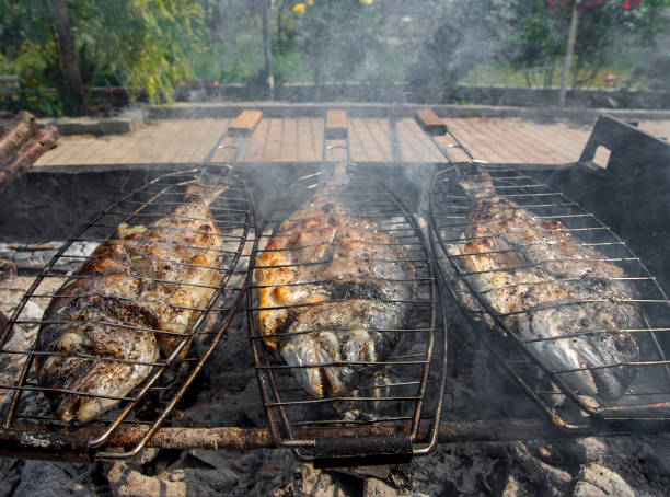Marine Dorado fish on charcoal grill