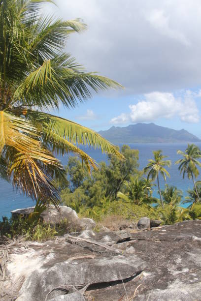istock private tropical island beach 1151436250