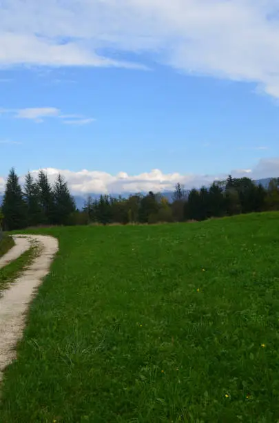 Breathtaking view of blue skies and lush fields