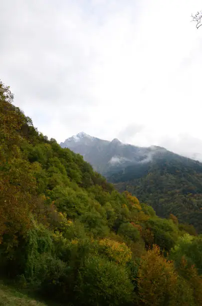 Pretty landscape in northern italy with lush vegetation