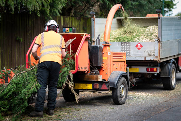 arboriste mâle utilisant une machine à déchiqueteuse en bois - broyeur de branches photos et images de collection