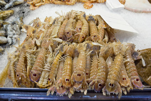 istock Raw shrimps at the fish market 1151443322