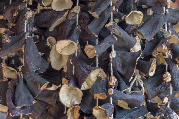 istock Dried eggplant , dried vegetables 1151446978