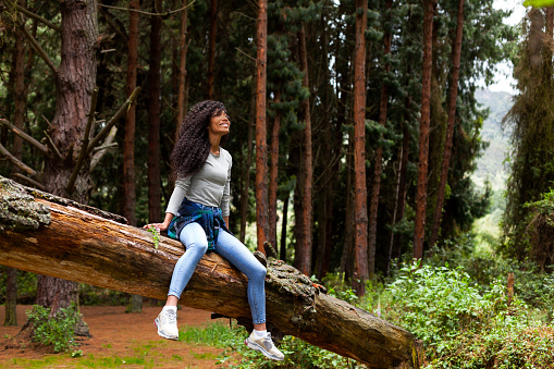 Afro woman sitting on a log in the middle of the forest, admiring some leaves she has in her hand.