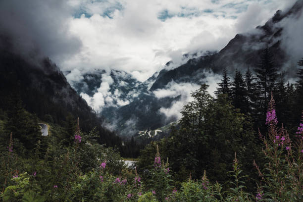 Landscape Scenic View, Tyrol, Austria