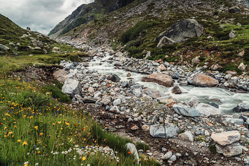 The River Ill at reservoir Lake Silvretta. Meadow and pebbles. Bludenz District, Vorarlberg, Austria.