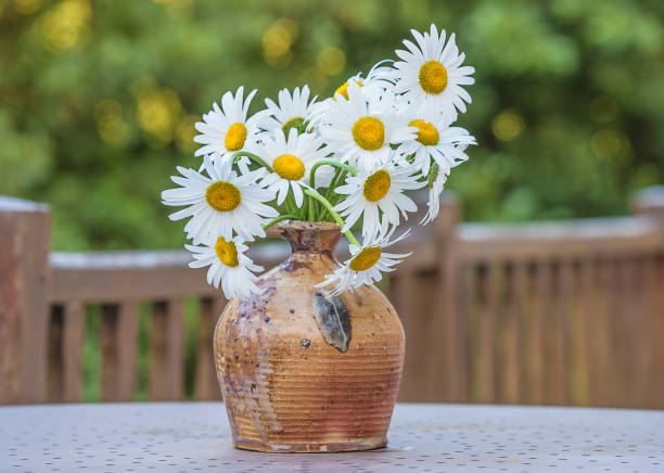 istock Bouquet of white daisies 1151449808