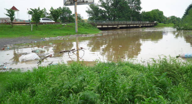 istock Waterlogged flooding channels developing high water of a small river 1151449874