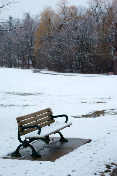 istock Snowy view of Toronto Park 1151450881