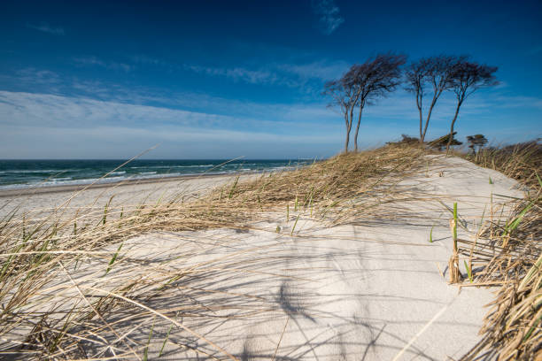 Sand dune and beach \