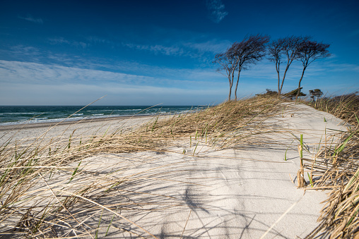 Vacations in Poland - the Baltic coast near Leba in Pomorskie province