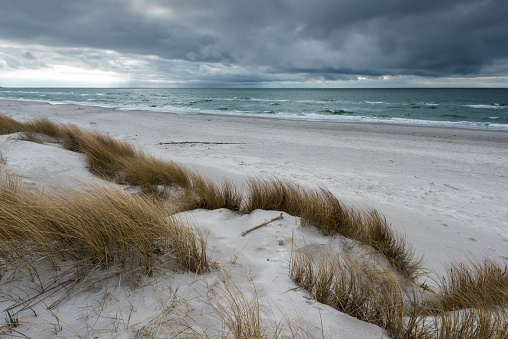 Sand dune and marram grass at Baltic Sea under storm cloud. Fischland-Darß-Zingst, Mecklenburg-Vorpommern, Germany, Europe.