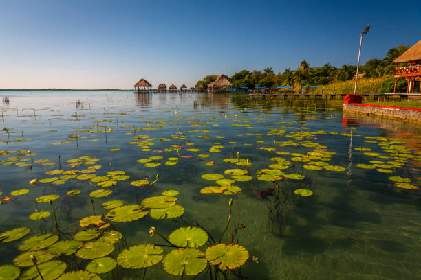 istock Seven Color Lagoon in Bacalar 1151460648