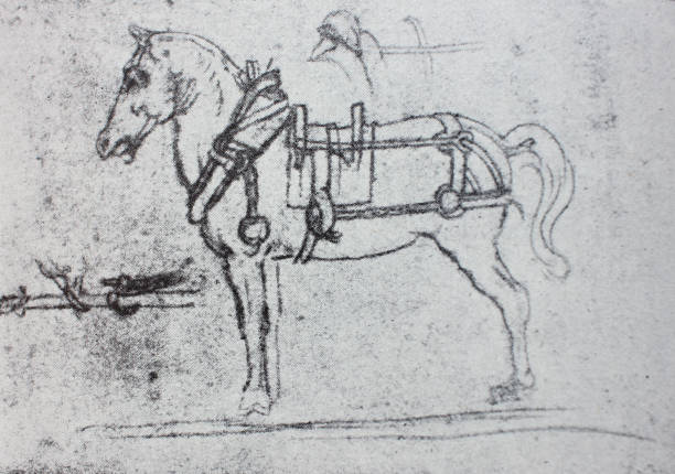 istock Sketches of horse. Manuscripts of Leonardo da Vinci 1151460775