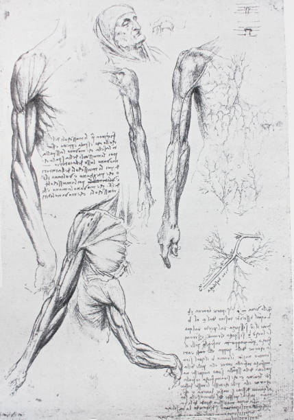 istock Anatomical notes. Profile, face, foot. Manuscripts of Leonardo da Vinci 1151460778