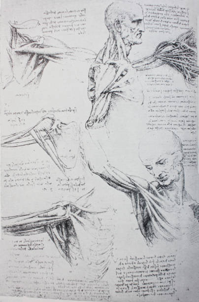 istock Anatomical notes. Profile, face, foot. Manuscripts of Leonardo da Vinci 1151460797