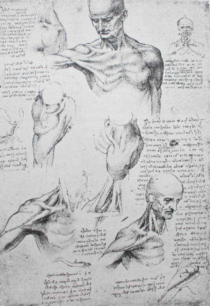 istock Anatomical notes. Profile, face, foot. Manuscripts of Leonardo da Vinci 1151460806