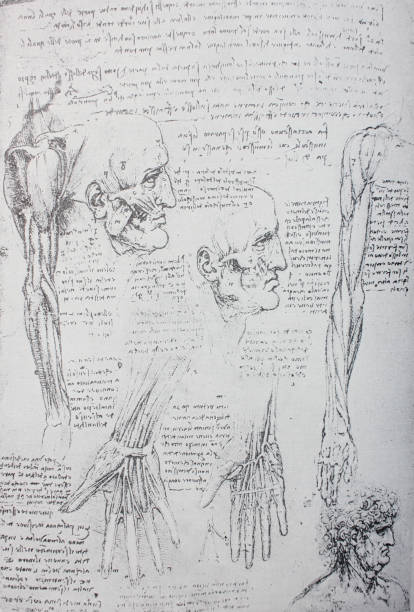 istock Anatomical notes. Face, head, wrist, hand. Manuscripts of Leonardo da Vinci 1151460807