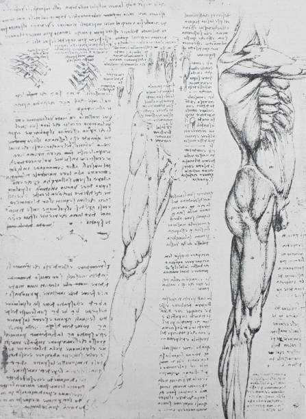istock Anatomical notes. Leg, foot. Manuscripts of Leonardo da Vinci 1151460813
