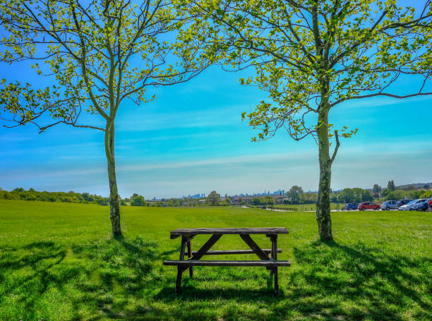 silhouette of wooden bench and table in the shade of a tree in a park