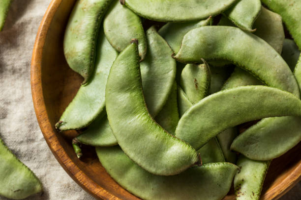 istock Raw Green Organic Indian Desi Papdi 1151469204