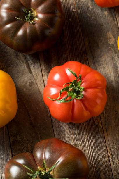 istock Healthy Organic Heirloom Tomatoes 1151469461