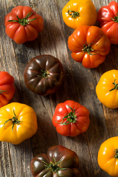 istock Healthy Organic Heirloom Tomatoes 1151469475