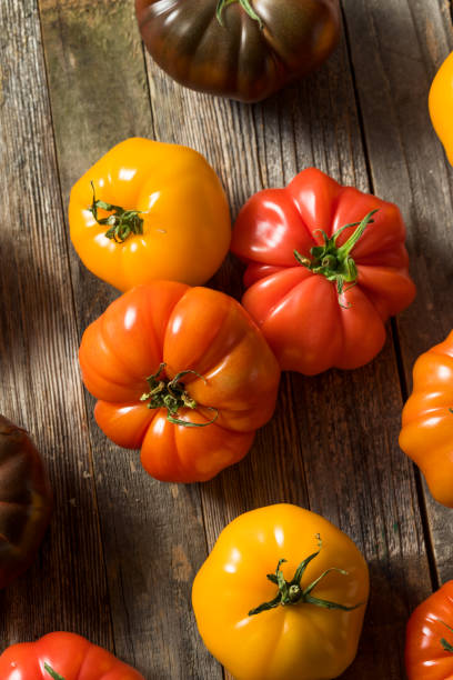 istock Healthy Organic Heirloom Tomatoes 1151469514