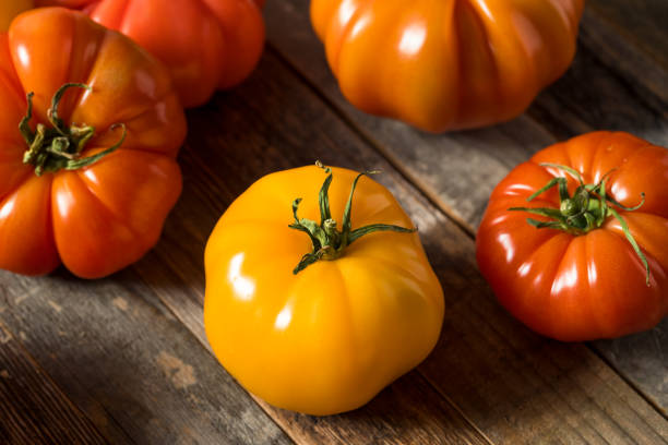 istock Healthy Organic Heirloom Tomatoes 1151469586