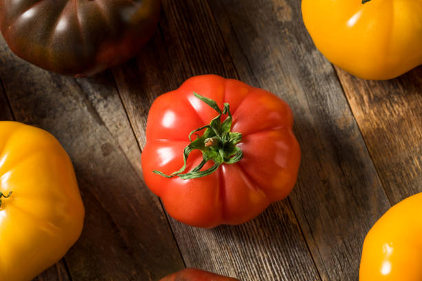 istock Healthy Organic Heirloom Tomatoes 1151469606