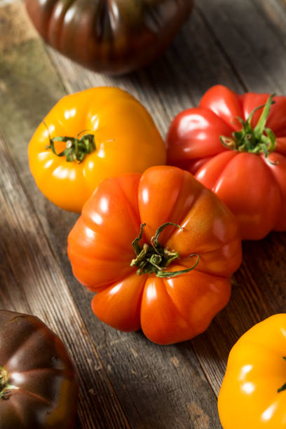 istock Healthy Organic Heirloom Tomatoes 1151469632