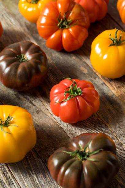 istock Healthy Organic Heirloom Tomatoes 1151470187