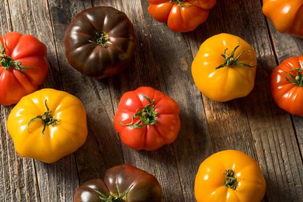 istock Healthy Organic Heirloom Tomatoes 1151470219